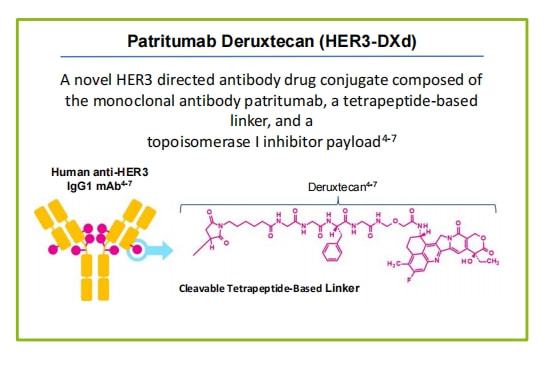 patritumab deruxtecan